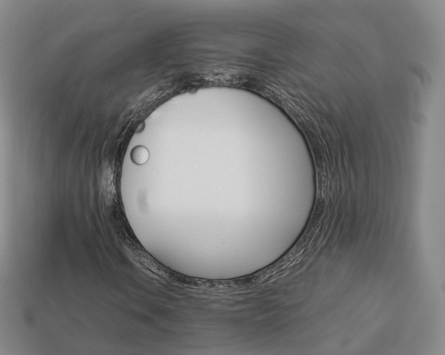 X0000113751106200909231000