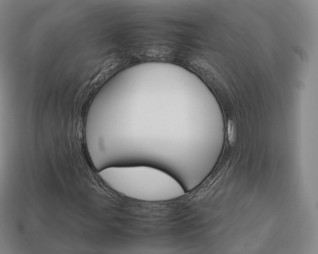 X0000113751107200909231000
