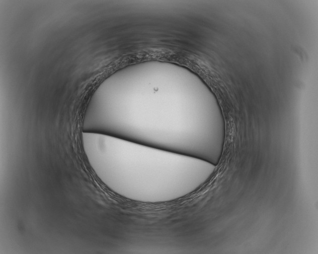 X0000113751109200909231000
