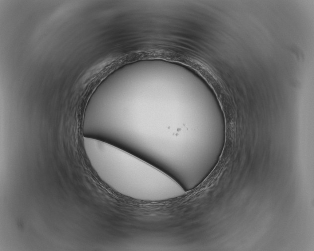 X0000113751111200909231000