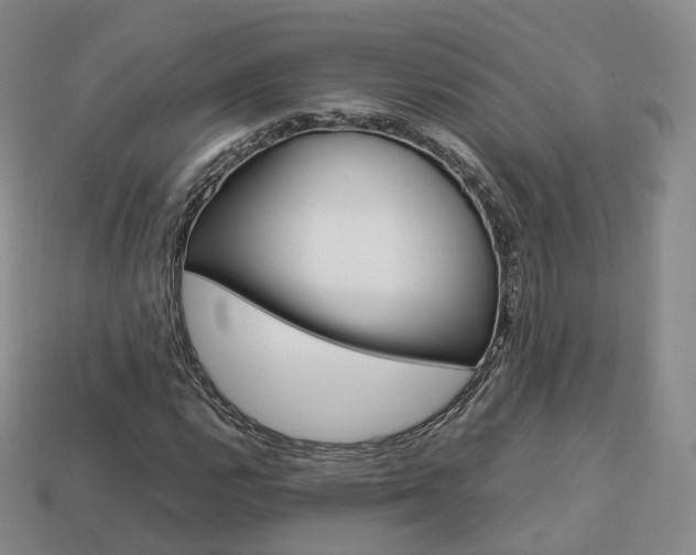 X0000113751112200909231000