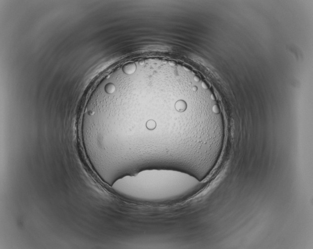 X0000113751113200909231000