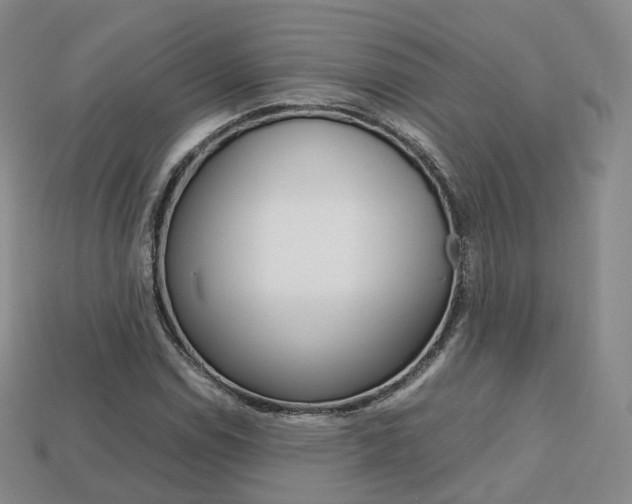 X0000113751114200909231000