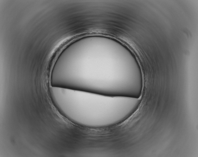 X0000113751115200909231000