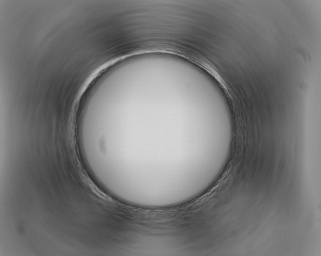 X0000113751116200909231000