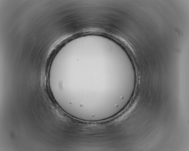 X0000113751117200909231000