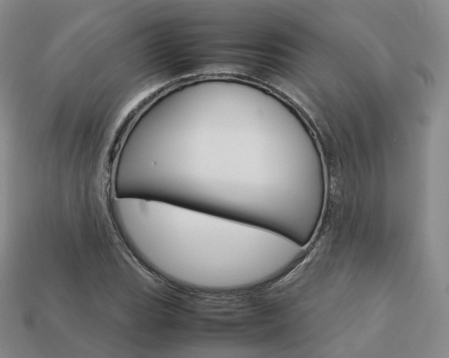 X0000113751119200909231000