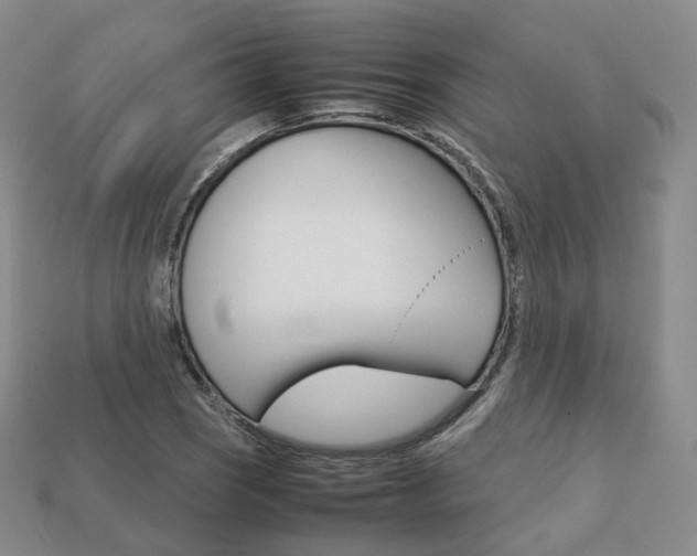 X0000113751121200909231000