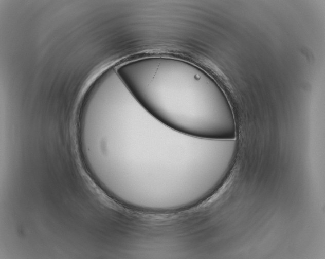 X0000113751122200909231000