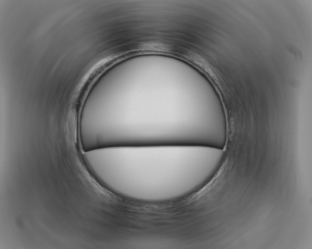 X0000113751123200909231000