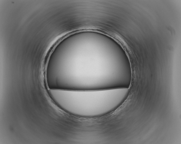 X0000113751124200909231000