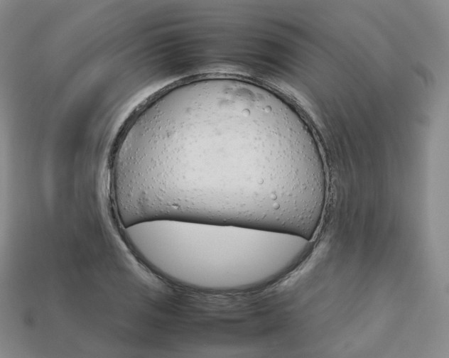 X0000113751125200909231000