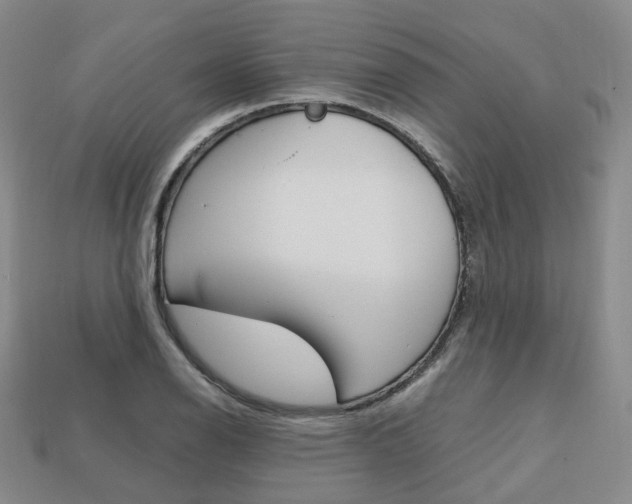 X0000113751126200909231000
