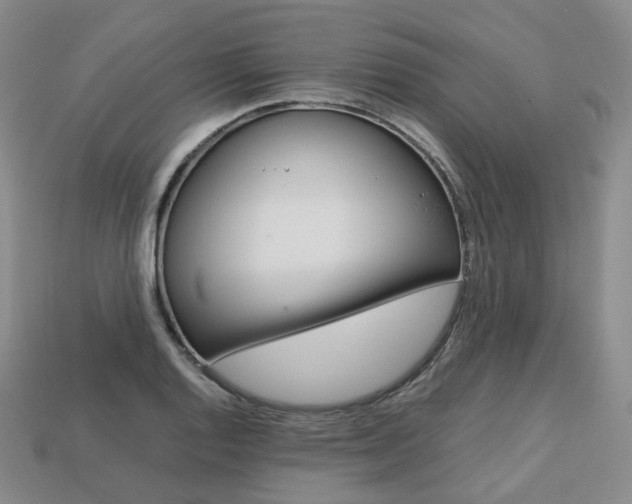 X0000113751128200909231000