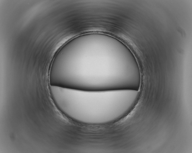 X0000113751129200909231000