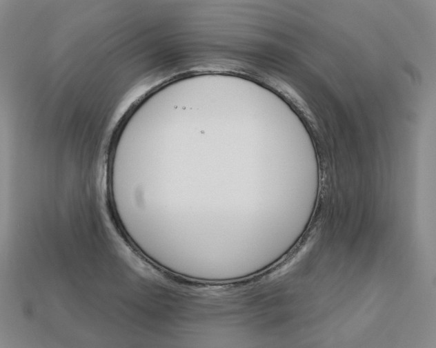 X0000113751130200909231000