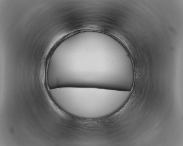 X0000113751131200909231000