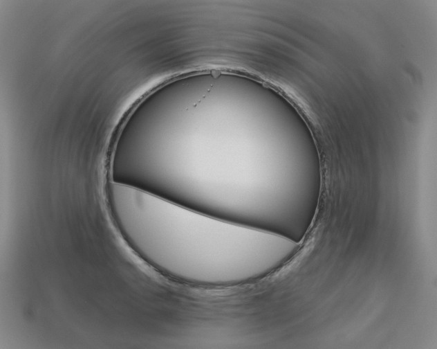 X0000113751134200909231000