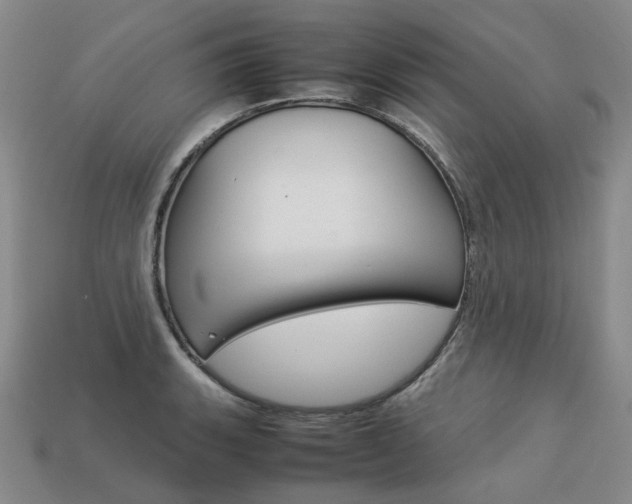 X0000113751135200909231000