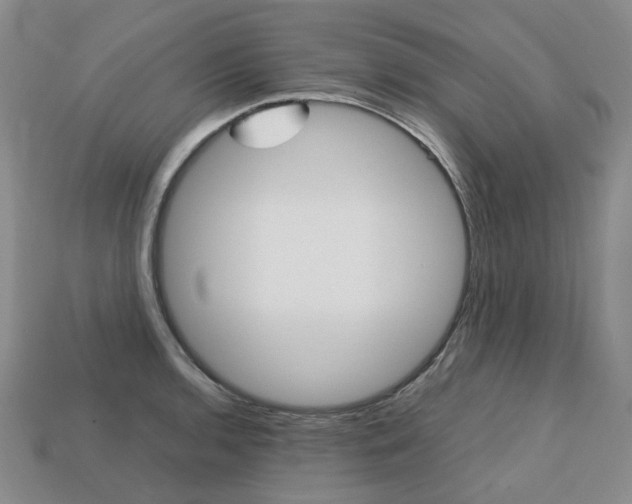 X0000113751136200909231000