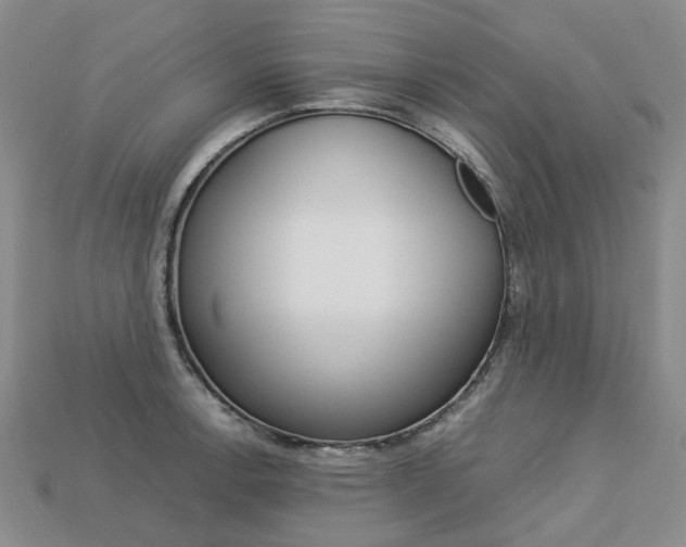 X0000113751138200909231000