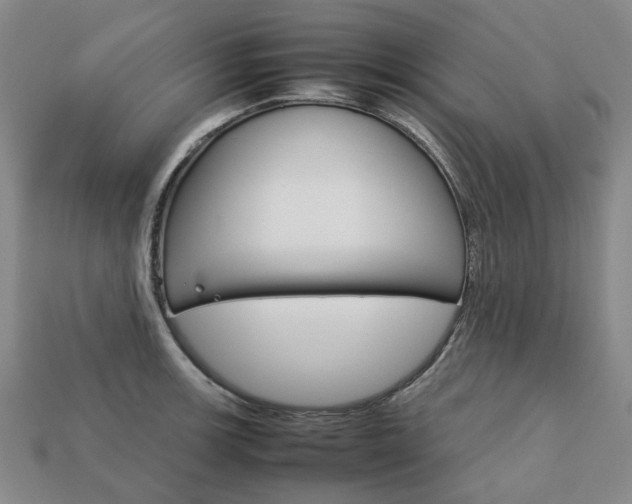 X0000113751139200909231000