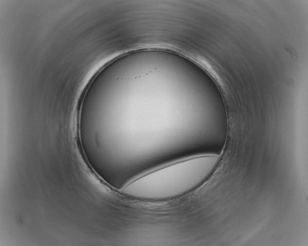 X0000113751140200909231000
