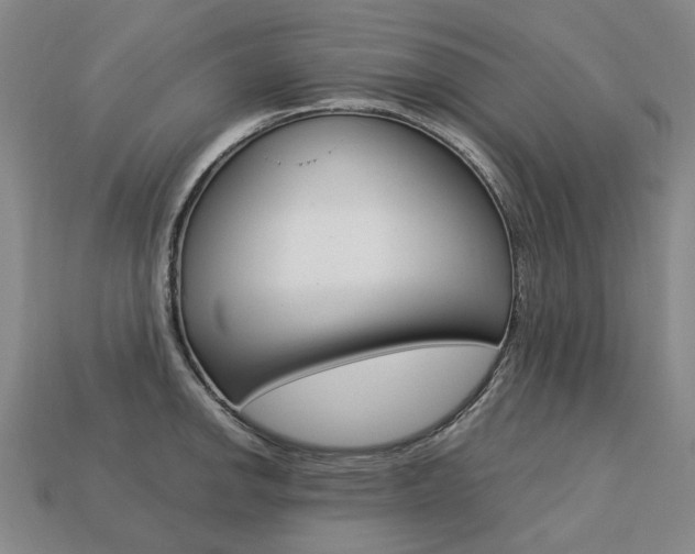 X0000113751142200909231000
