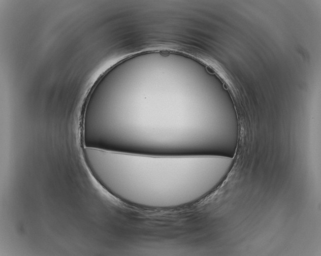 X0000113751143200909231000