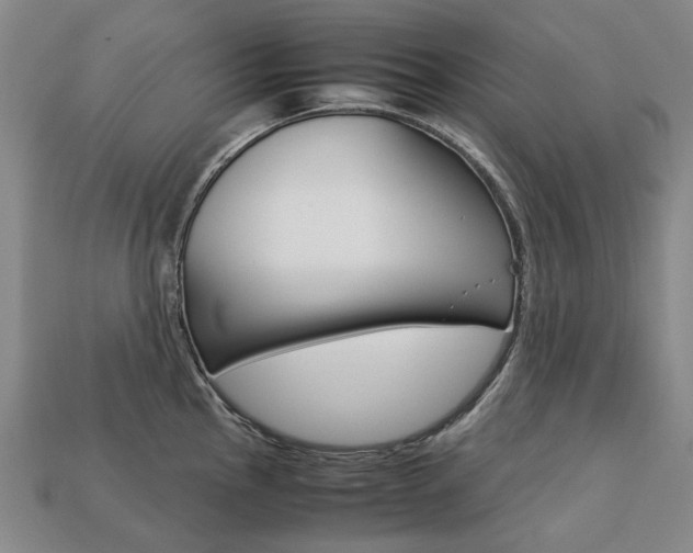 X0000113751145200909231000