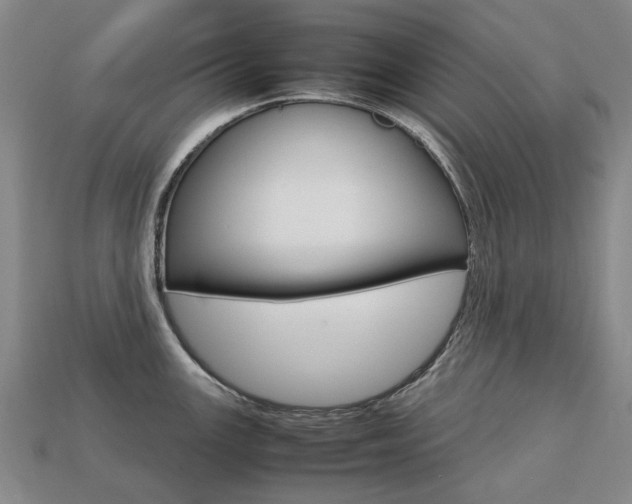 X0000113751147200909231000