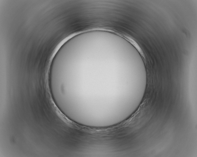 X0000113751148200909231000