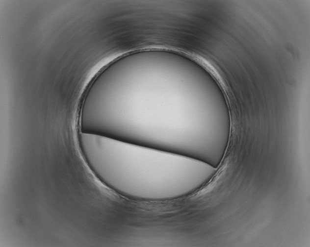 X0000113751149200909231000
