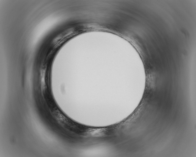 X0000113751150200909231000