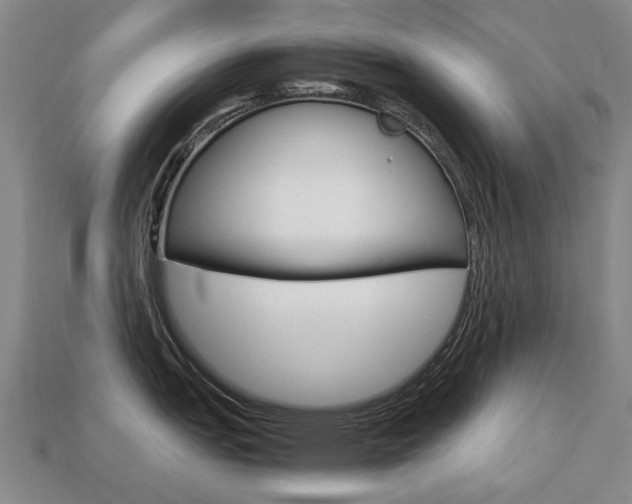 X0000113751151200909231000
