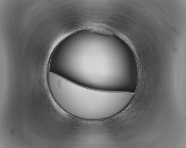 X0000113751152200909231000