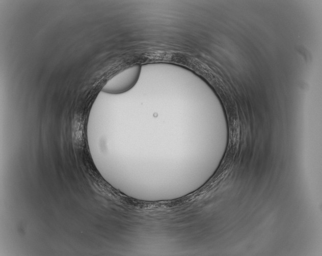 X0000113751154200909231000