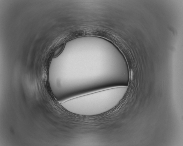 X0000113751155200909231000