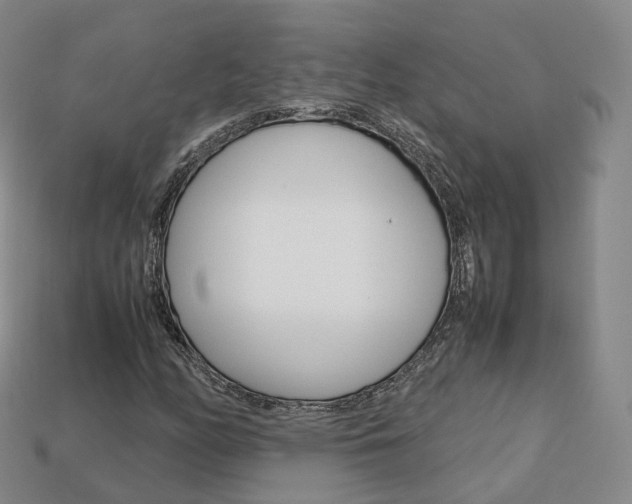 X0000113751158200909231000