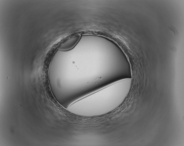 X0000113751159200909231000