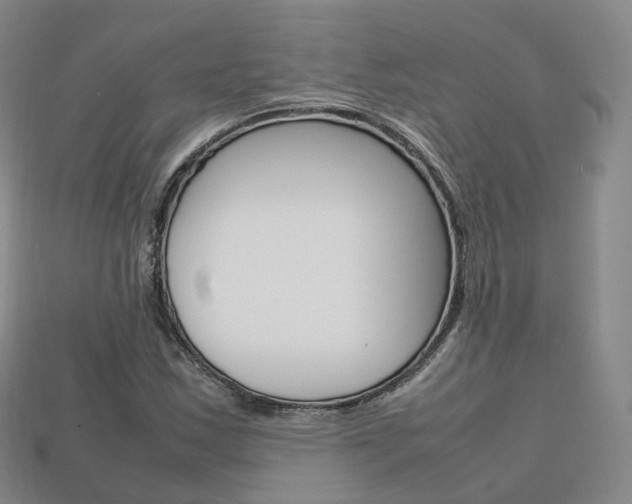 X0000113751163200909231000