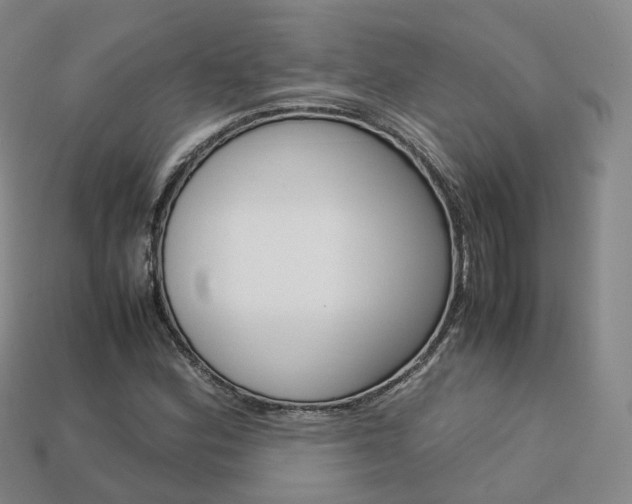 X0000113751164200909231000