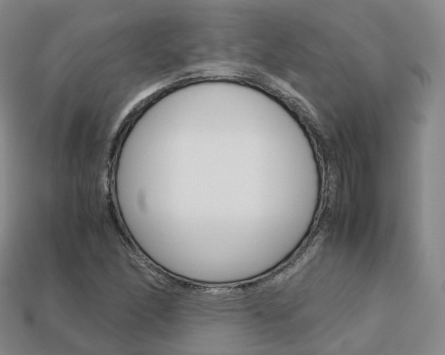 X0000113751166200909231000