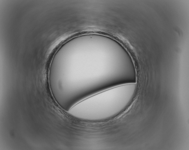 X0000113751167200909231000