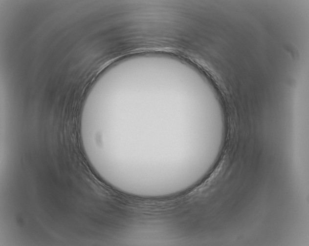 X0000113751169200909231000