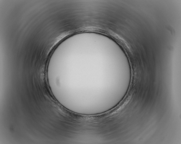 X0000113751170200909231000