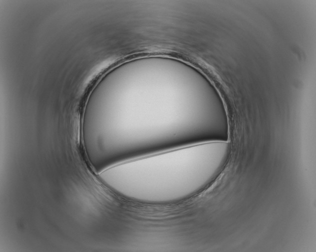 X0000113751171200909231000
