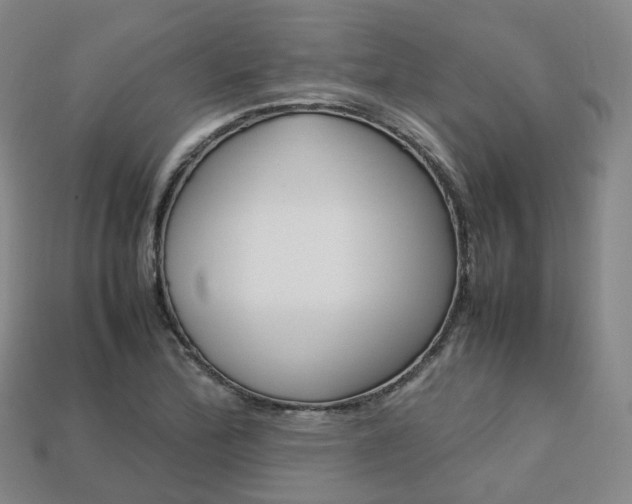 X0000113751172200909231000