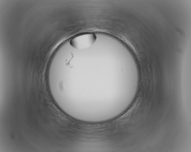 X0000113751173200909231000