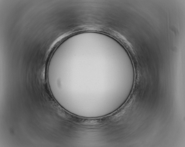 X0000113751174200909231000